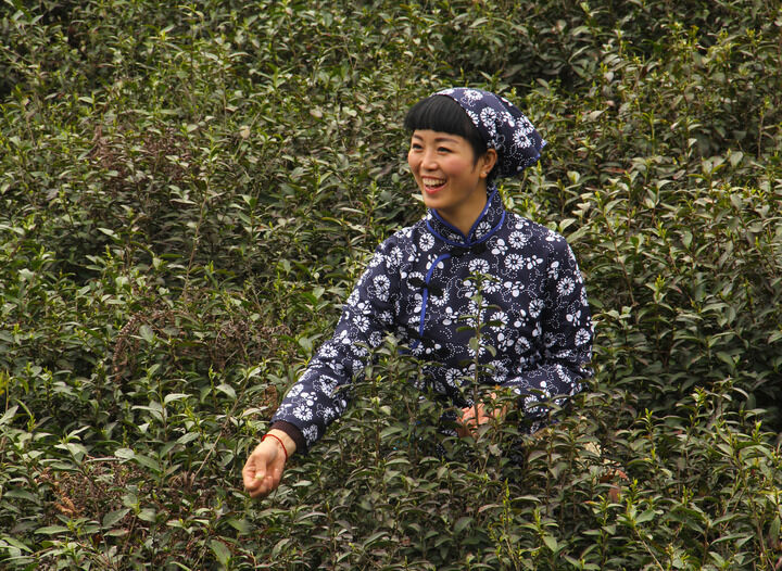 韩美女主播热午 探员